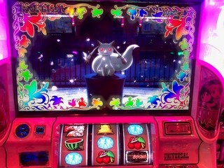 IMG_6395.jpg